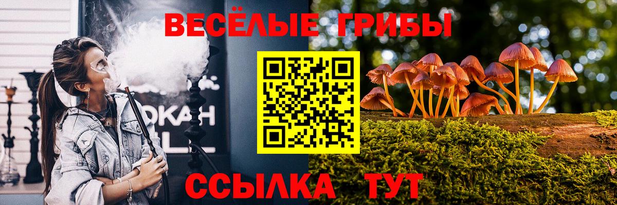 Тайшет  Галлюциногенные грибы прущие грибы  Вход с VPN 